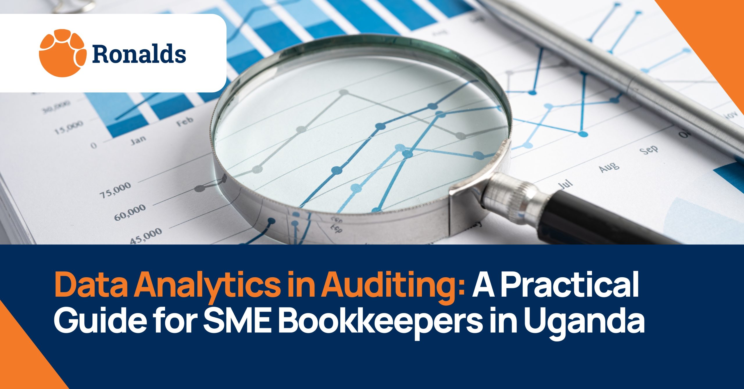 Data Analytics in Auditing